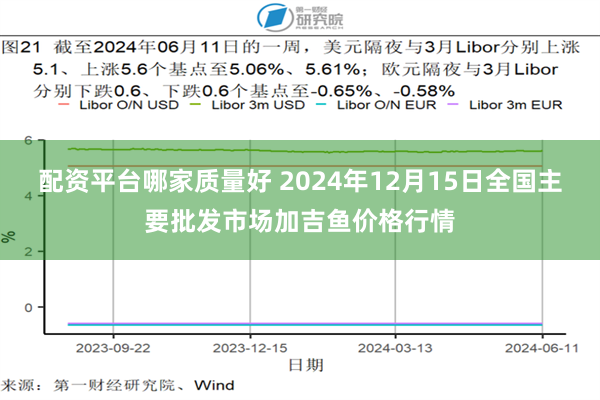 配资平台哪家质量好 2024年12月15日全国主要批发市场加吉鱼价格行情