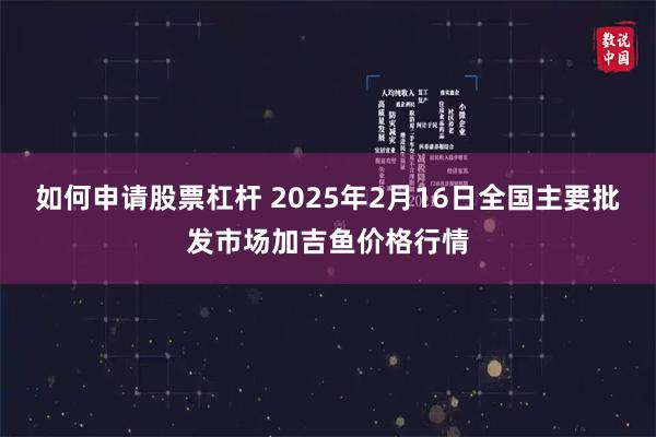 如何申请股票杠杆 2025年2月16日全国主要批发市场加吉鱼价格行情