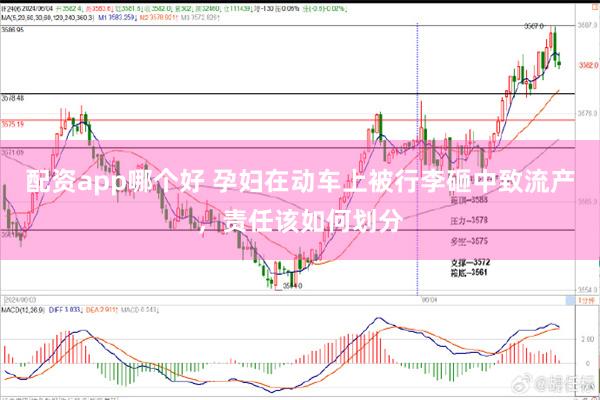 配资app哪个好 孕妇在动车上被行李砸中致流产，责任该如何划分