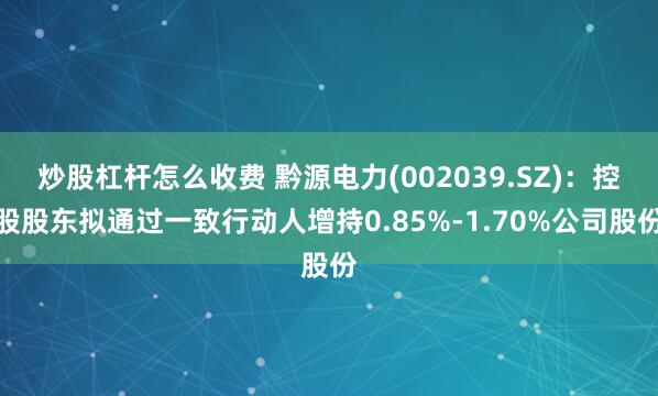 炒股杠杆怎么收费 黔源电力(002039.SZ):控股股东拟通过一致行动人增持0.85%-1.70%公司股份