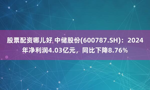 股票配资哪儿好 中储股份(600787.SH):2024年净利润4.03亿元,同比下降8.76%