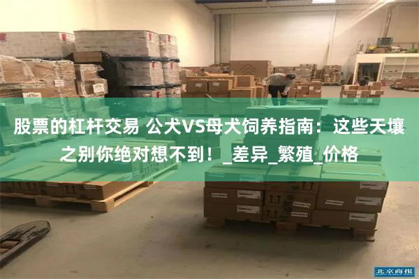 股票的杠杆交易 公犬VS母犬饲养指南:这些天壤之别你绝对想不到!_差异_繁殖_价格