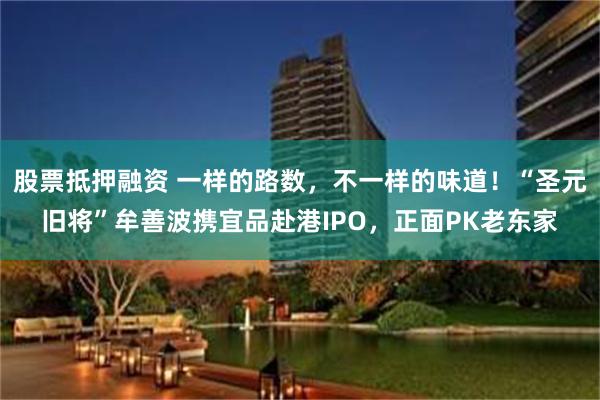 股票抵押融资 一样的路数,不一样的味道!“圣元旧将”牟善波携宜品赴港IPO,正面PK老东家